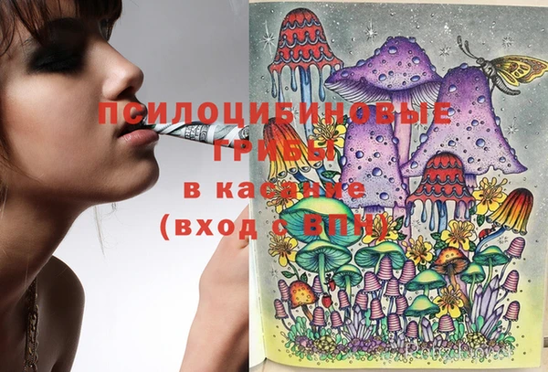 каннабис Абаза