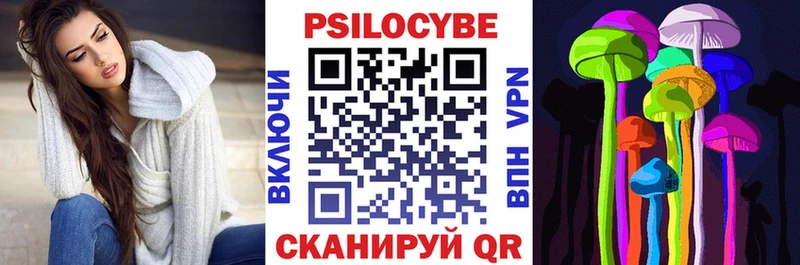 Псилоцибиновые грибы Cubensis Щучье